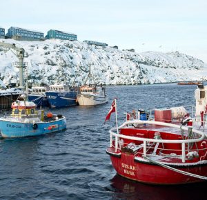 Grønlandske fiskerbåde i havnen
