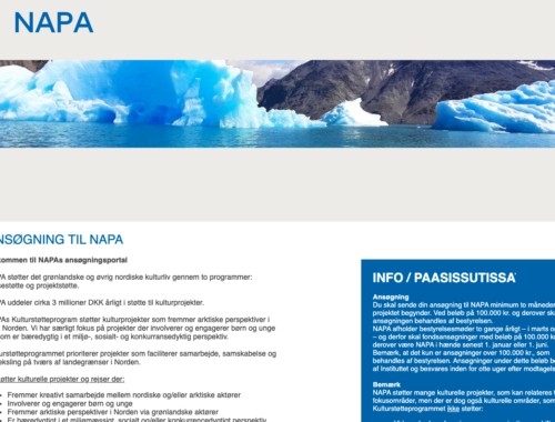 Skærmbillede af NAPAs ansøgningsmodul